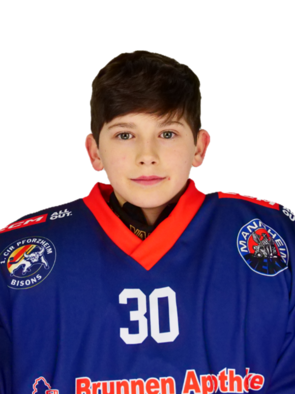 Weber, Julius