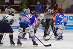 Eisbären reisen nach Stuttgart