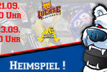 Eisbären vor Heimspiel-Wochenende