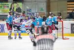 Eisbären empfangen Artgenossen