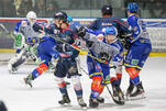 Eisbären bändigen Rhinos