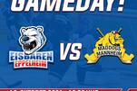 LL: Auch die LL-Eisbären starten in die neue Saison