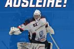 Eisbären verleihen Wieland